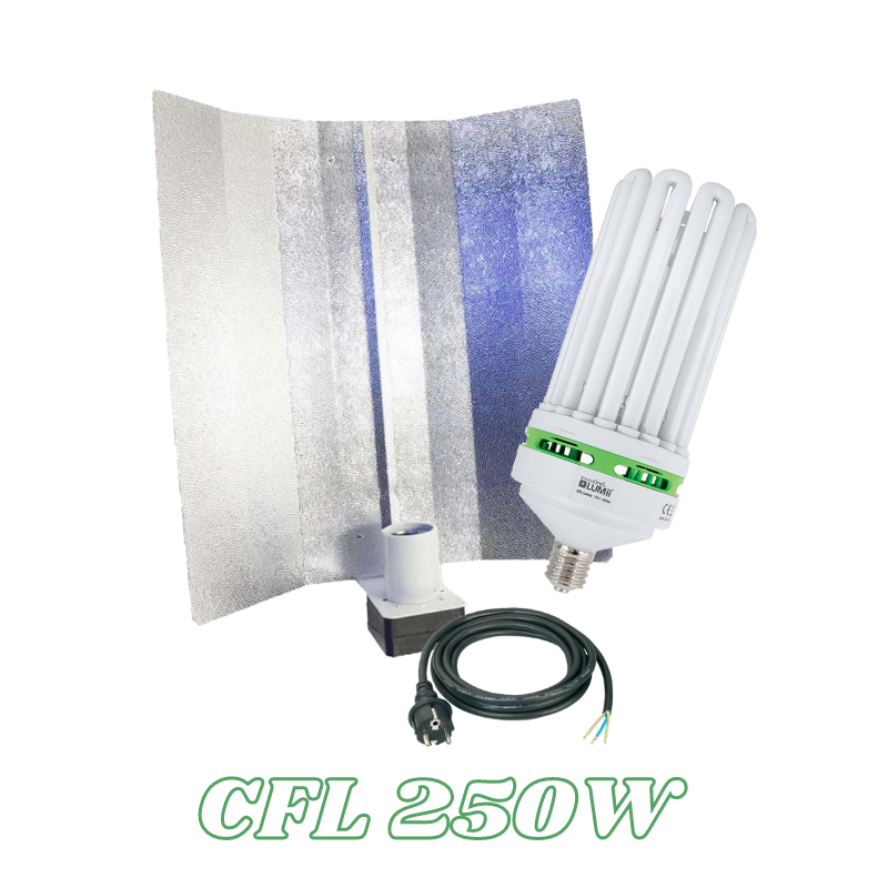 Kit éclairage - 250W - CFL...