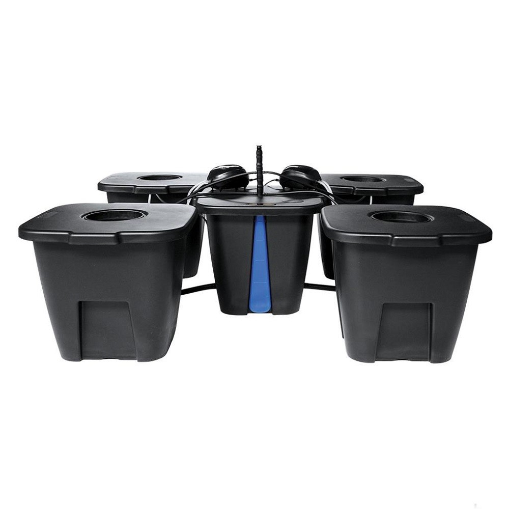 Système hydroponique DWC -...