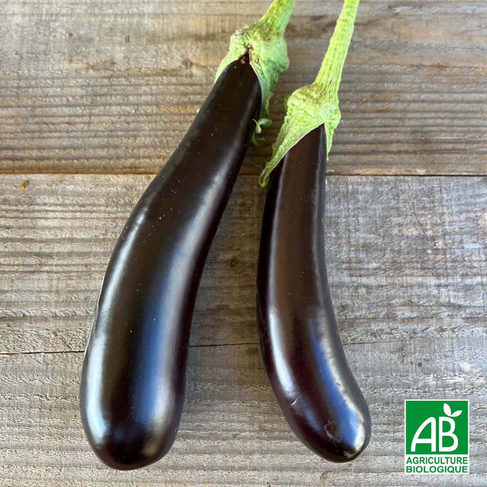 Aubergine de Barbentane AB...