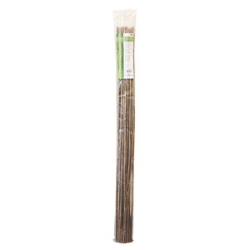 Tuteurs Bambou 150 cm -...