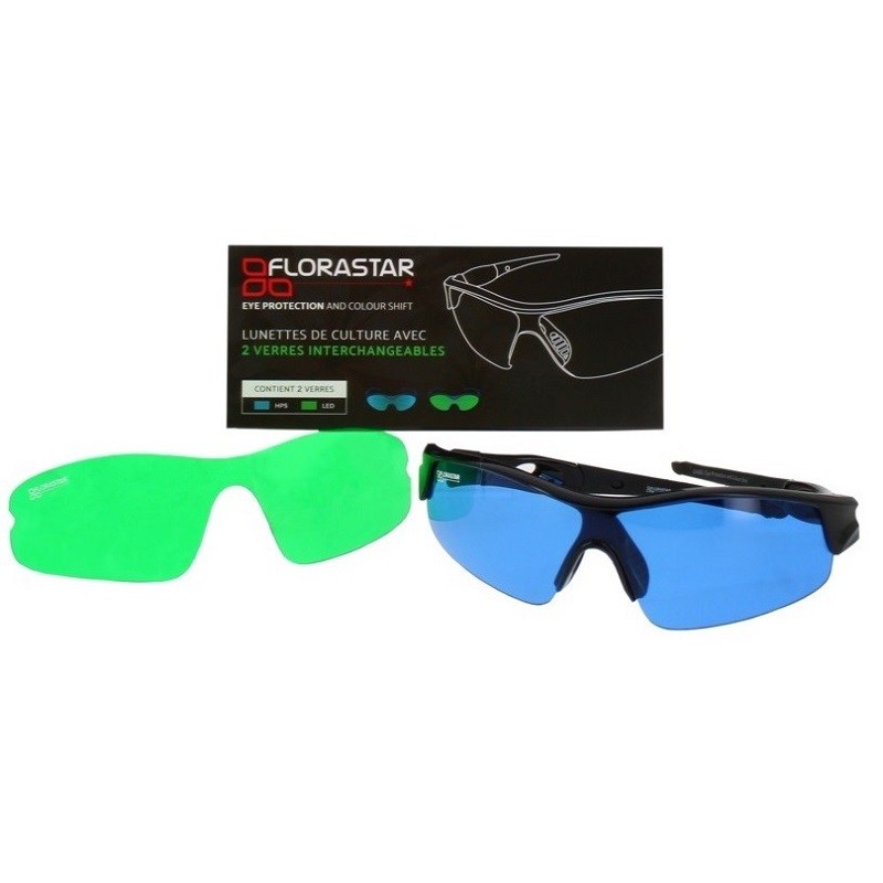 Lunettes EYE Protection -...