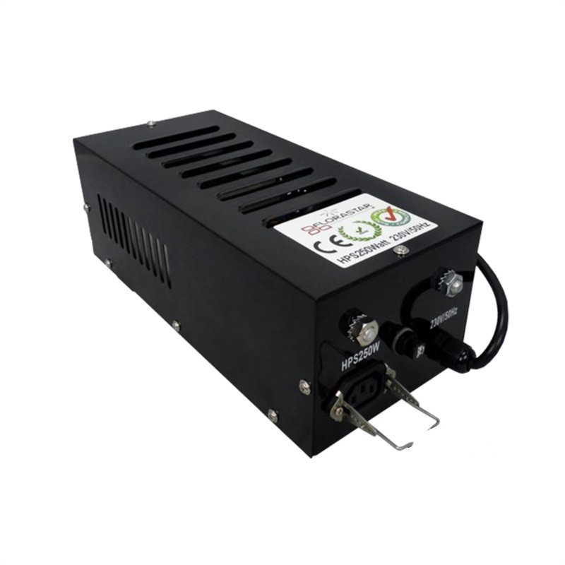 Ballast  - 250w Black Box...