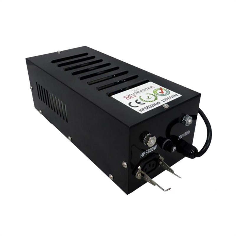 Ballast  - 600w Black Box...