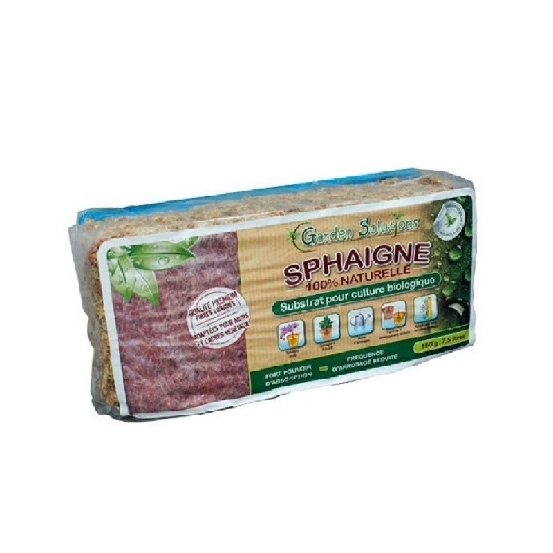 Sphaigne du Chili -  150gr...