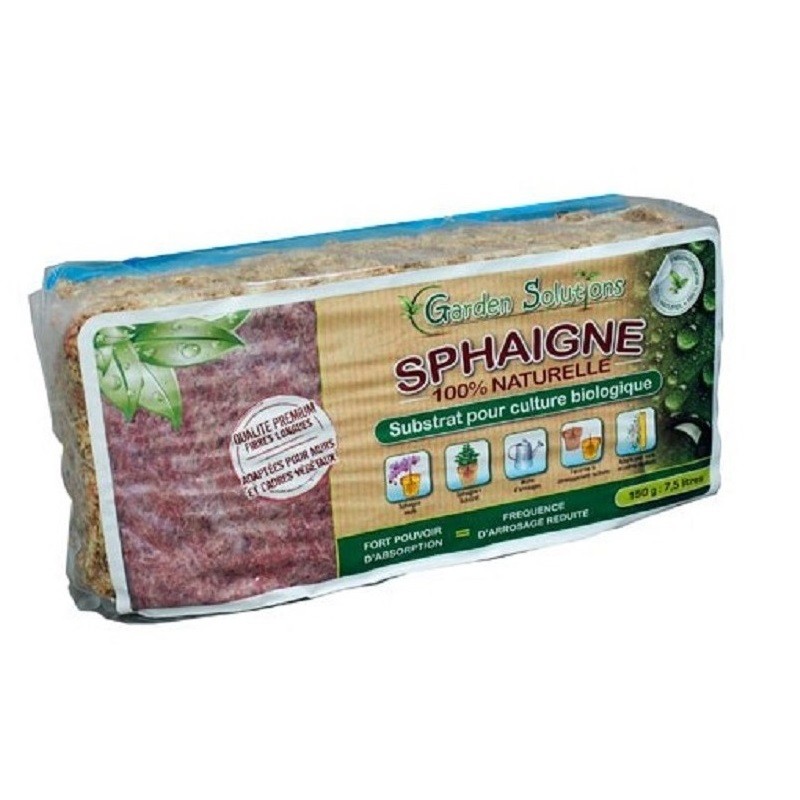 Sphaigne du Chili -  500gr...