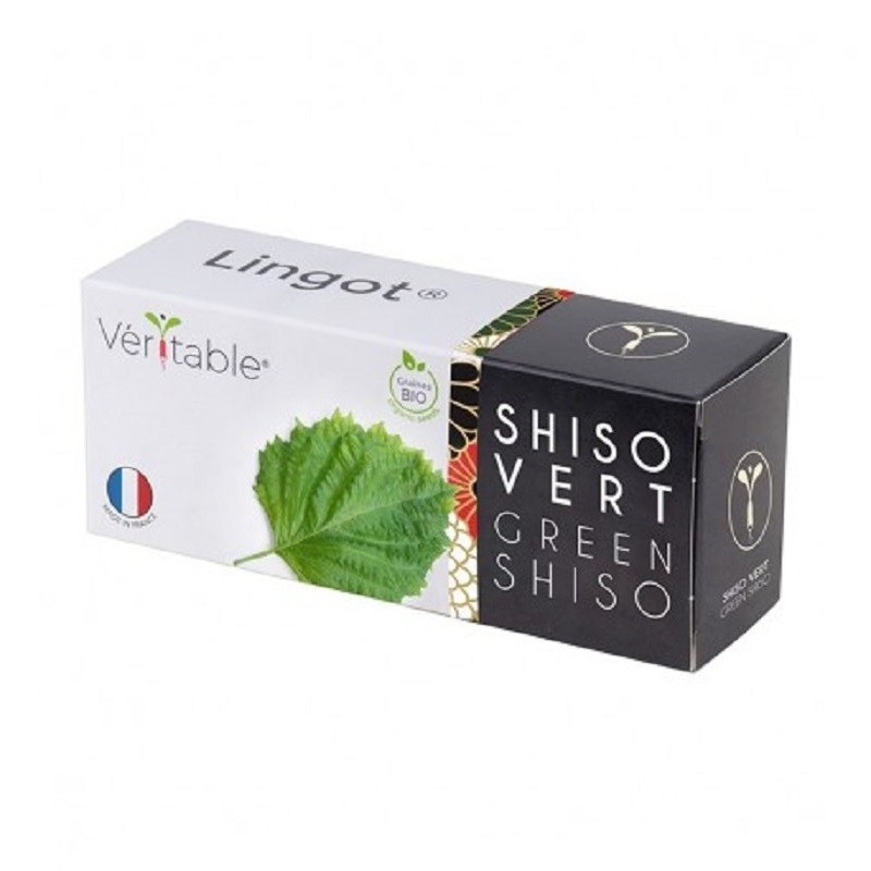 Lingot® - Shiso Vert -...