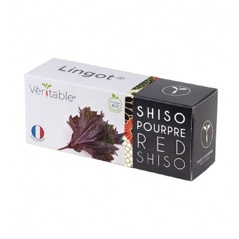 Lingot® - Shiso Pourpre BIO...