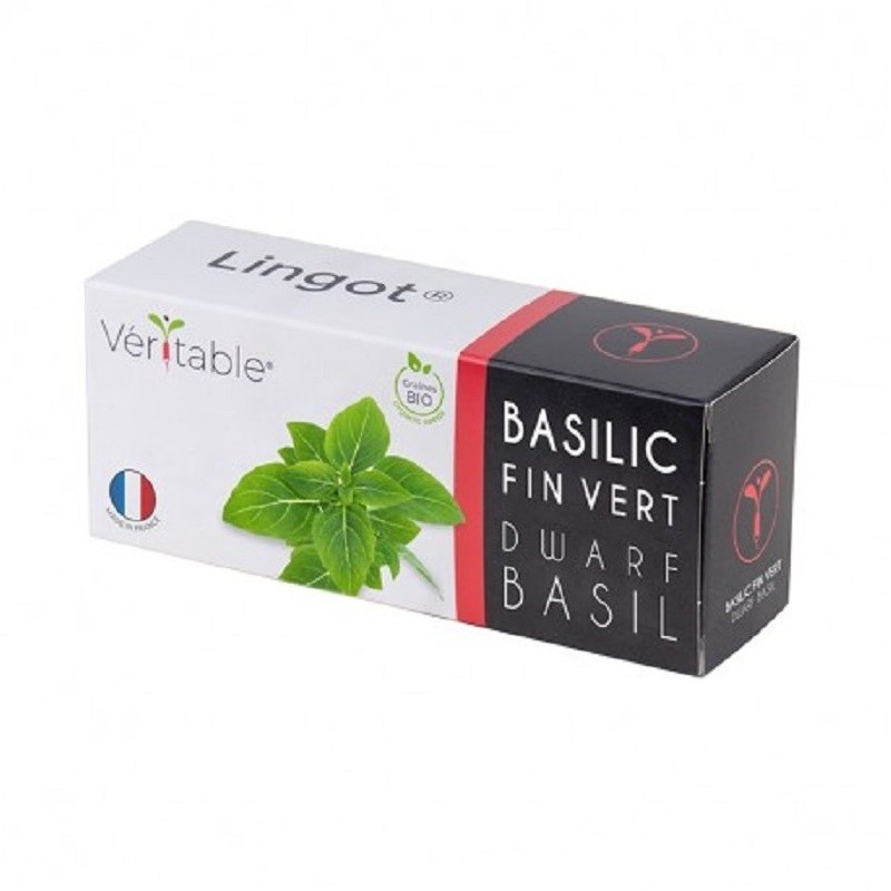 Lingot® - Basilic Fin Vert...