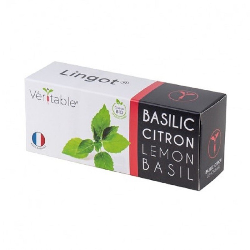 Lingot® - Basilic Citron...