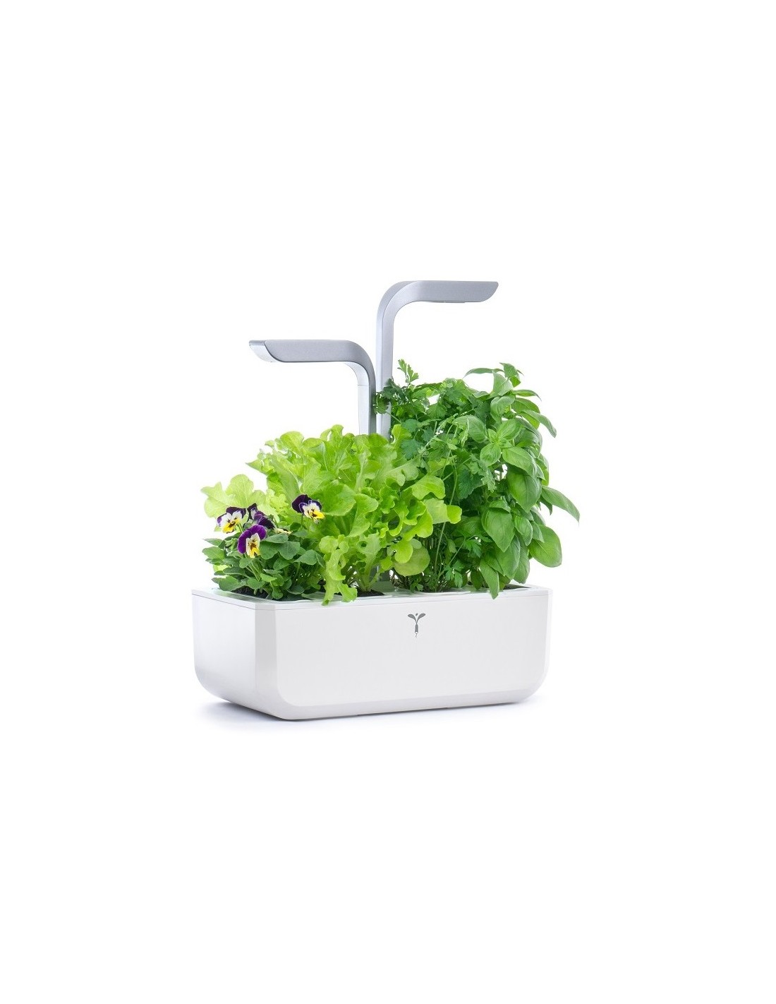 Veritable - Pack de 4 Lingots pour Potager d'intérieur - Basilic