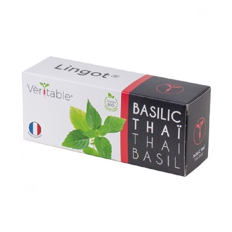 Lingot® - Basilic Thaï BIO...