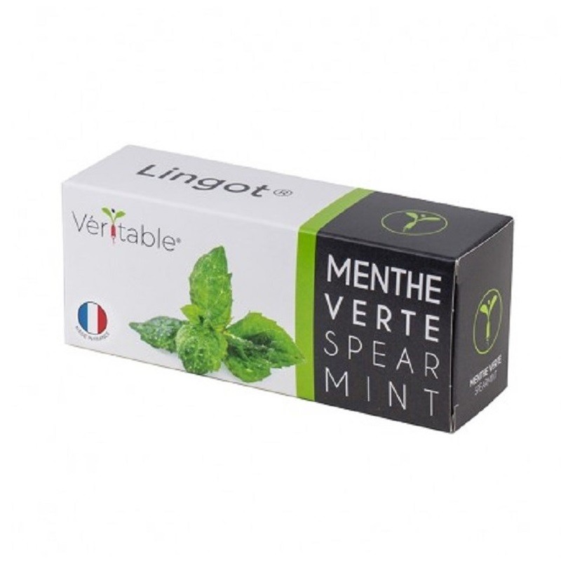 Lingot® - Menthe verte -...