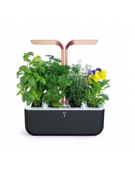 Potager d'intérieur Véritable® Smart Copper