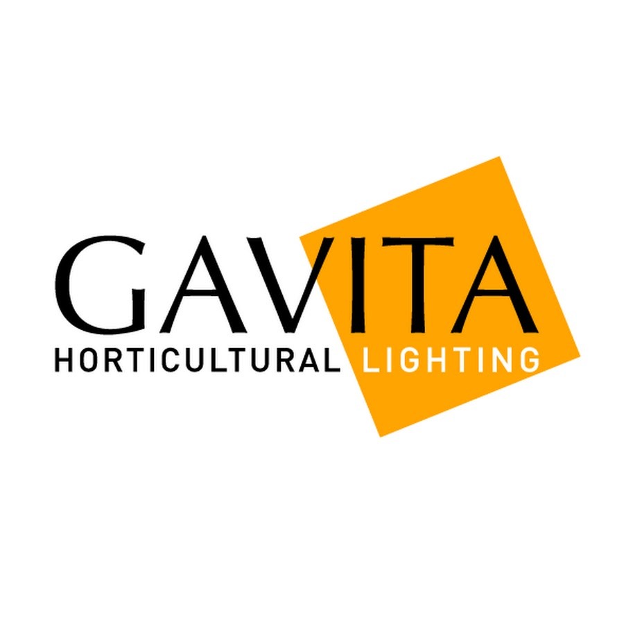 GAVITA