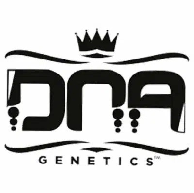 DNA Genetic