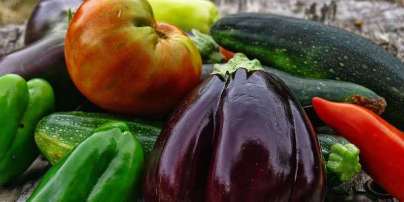 Règles d'or au potager naturel sur sol vivant